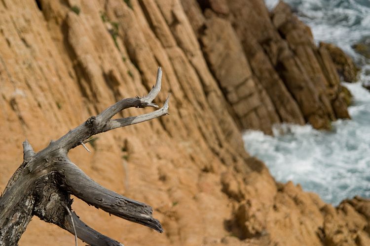 Cap Camarat (Cote d'Azur - Ausflug)