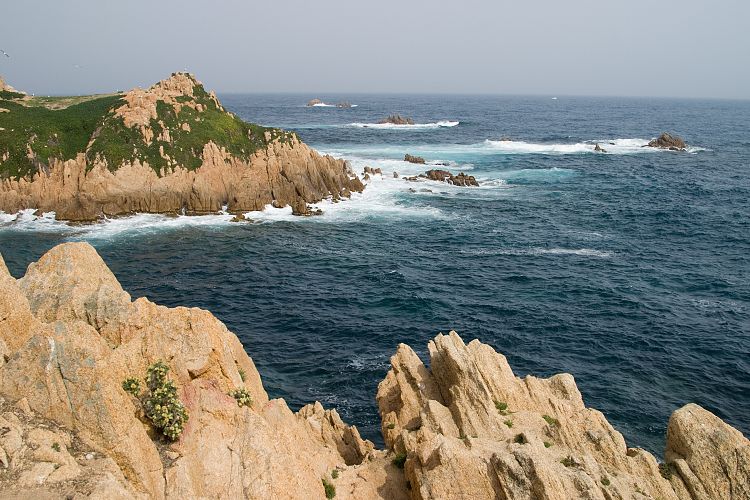 Cap Camarat (Cote d'Azur - Ausflug)