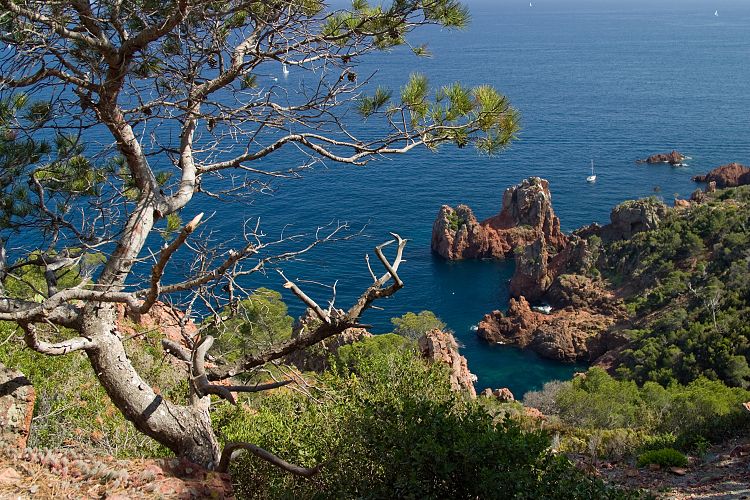 Cap Dramont (Cote d'Azur - Wanderung)