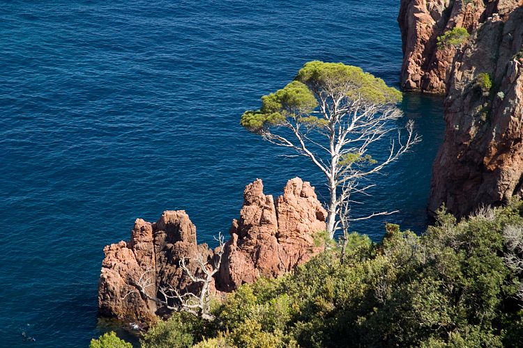 Cap Dramont (Cote d'Azur - Wanderung)