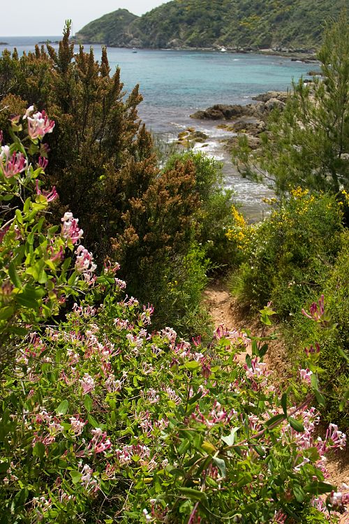 Cap Lardier (Cote d'Azur - Wanderung)