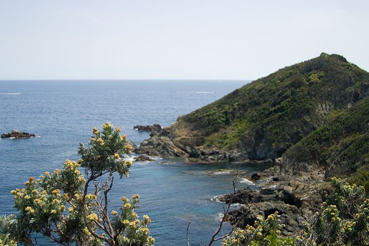 Cap Lardier (Cote d'Azur - Wanderung)