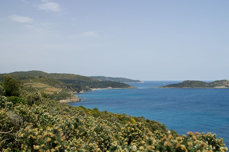 Cap Lardier (Cote d'Azur - Wanderung)