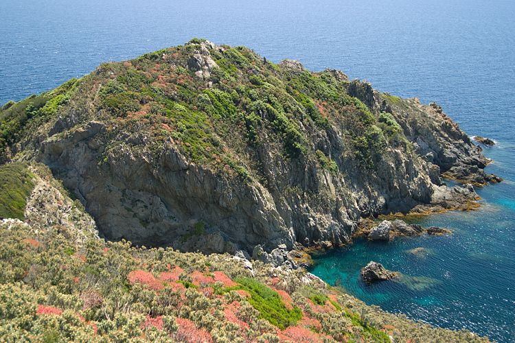 Cap Lardier (Cote d'Azur - Wanderung)