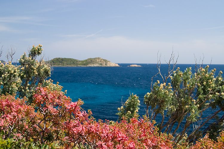 Cap Lardier (Cote d'Azur - Wanderung)