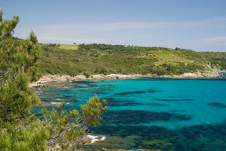 Cap Lardier (Cote d'Azur - Wanderung)