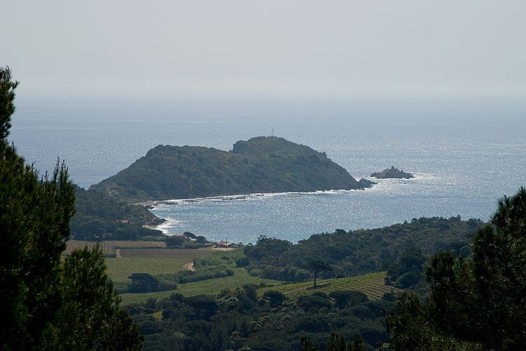 Cap Taillat (Cote d'Azur - Wanderung)