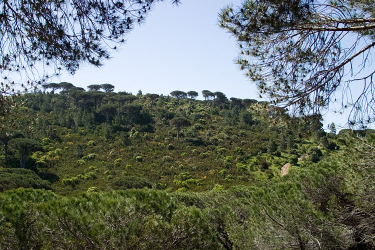 Cap Taillat (Cote d'Azur - Wanderung)