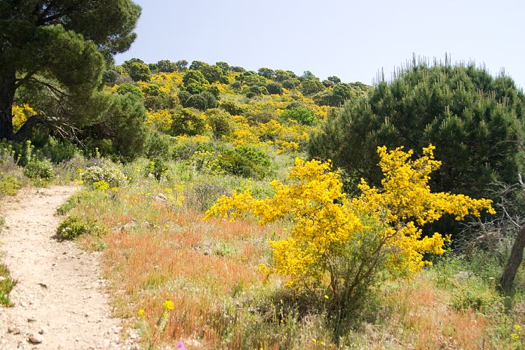 Cap Taillat (Cote d'Azur - Wanderung)