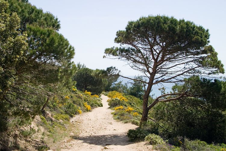 Cap Taillat (Cote d'Azur - Wanderung)