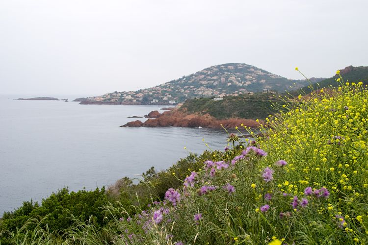 Esterel-Kste (Cote d'Azur - Ausflug)