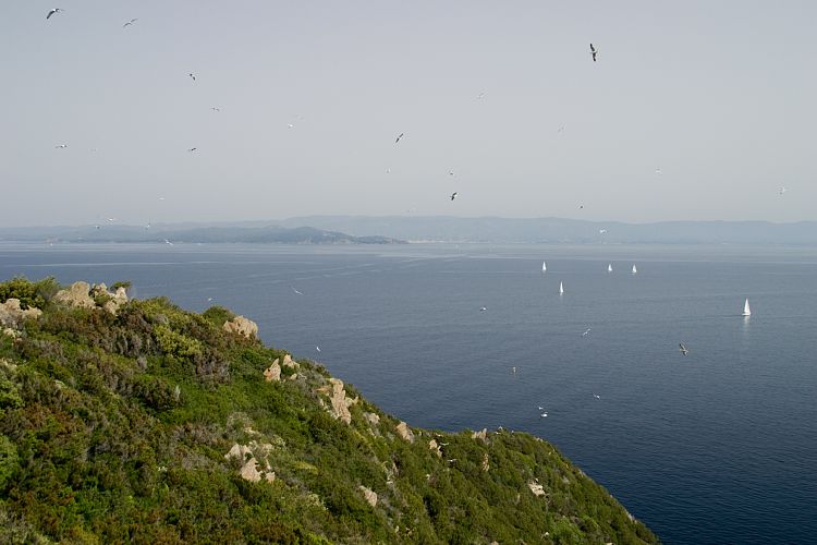 le de Port Cros (Cote d'Azur - Wanderung)