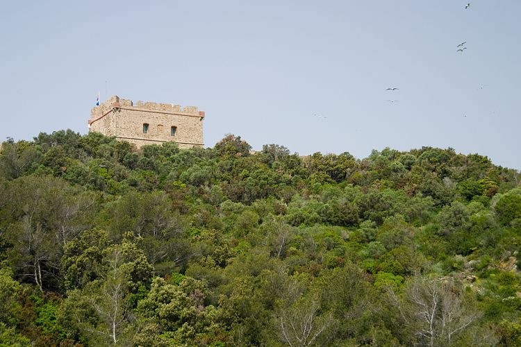 le de Port Cros (Cote d'Azur - Wanderung)