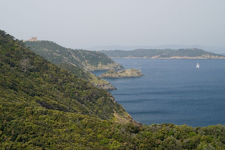 le de Port Cros (Cote d'Azur - Wanderung)
