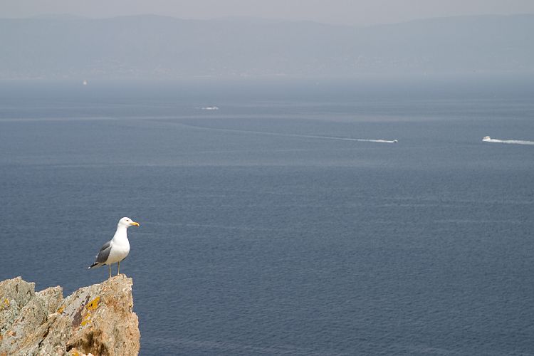 le de Port Cros (Cote d'Azur - Wanderung)