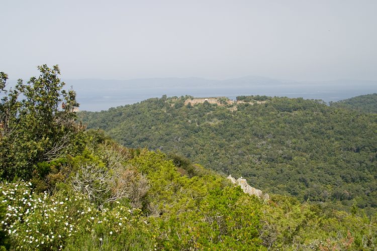 le de Port Cros (Cote d'Azur - Wanderung)