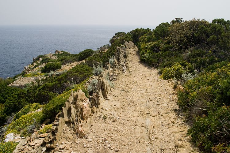 le de Port Cros (Cote d'Azur - Wanderung)