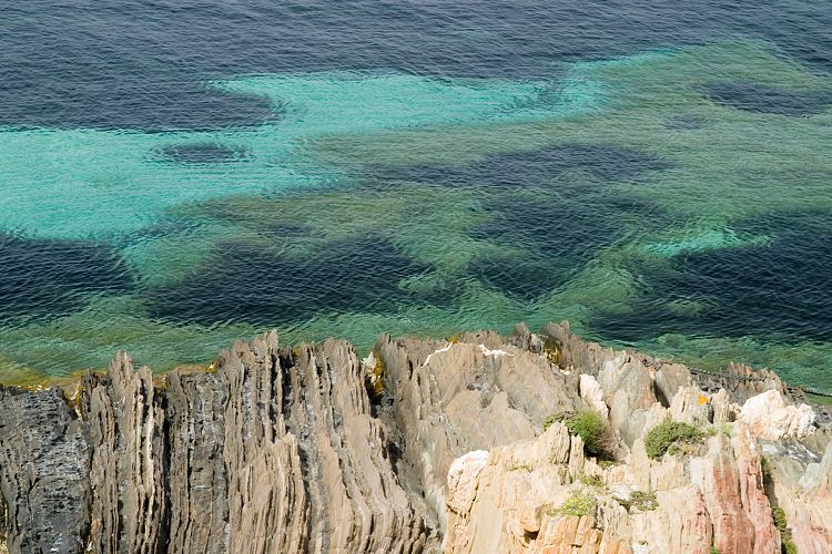 le de Port Cros (Cote d'Azur - Wanderung)