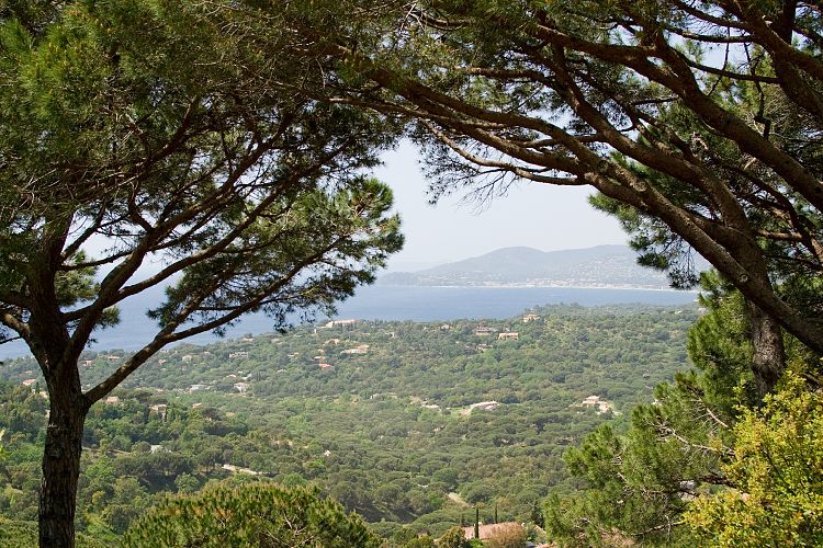 Les Mas de Gigaro (Cote d'Azur - Gigaro)