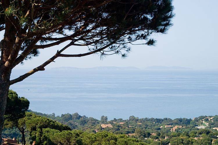 Les Mas de Gigaro (Cote d'Azur - Wanderung)
