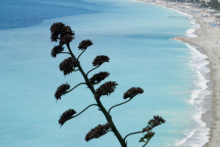 Nizza (Cote d'Azur - Ausflug)
