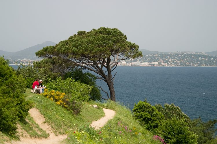 St. Tropez (Cote d'Azur - Ausflug)