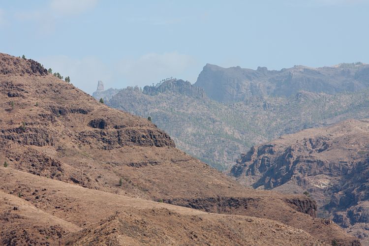 Bei Ayagaures (Gran Canaria - Palmitos Park)