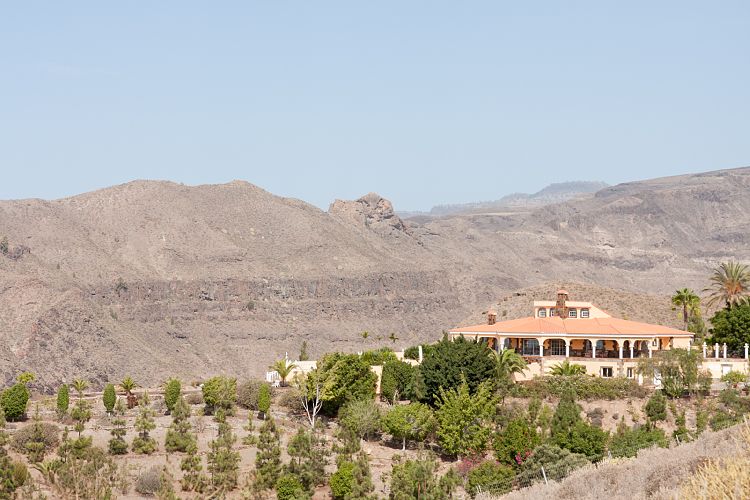 Bei Ayagaures (Gran Canaria - Palmitos Park)