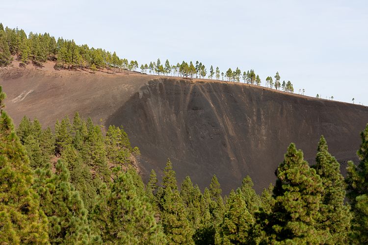 Beim Cruz de Tejeda (Gran Canaria - Roque Nublo)