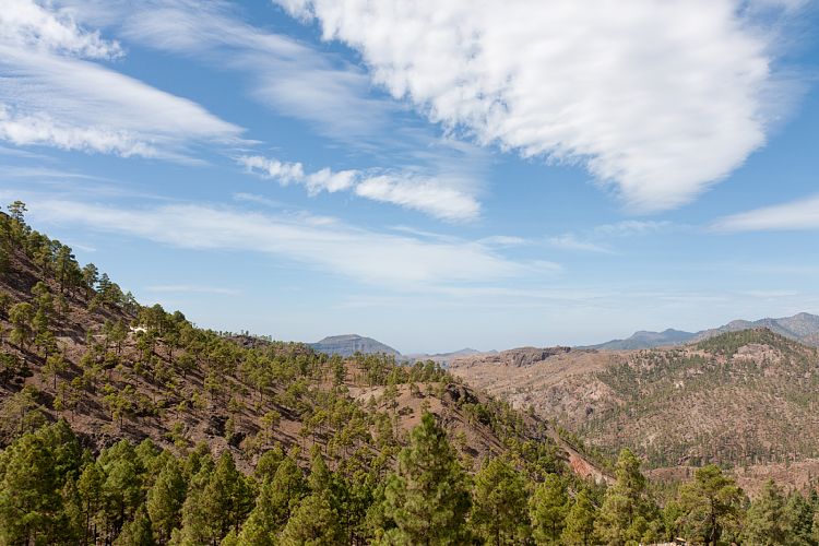 Cruz Grande - La Manzanilla (Gran Canaria - Cruz Grande)