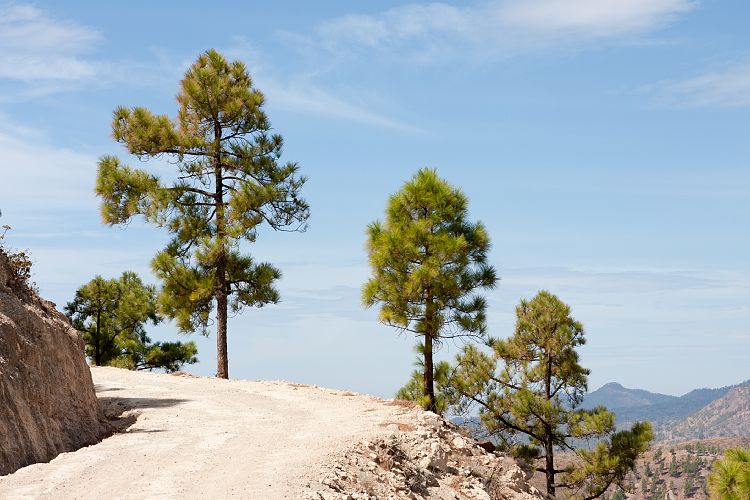 Cruz Grande - La Manzanilla (Gran Canaria - Cruz Grande)