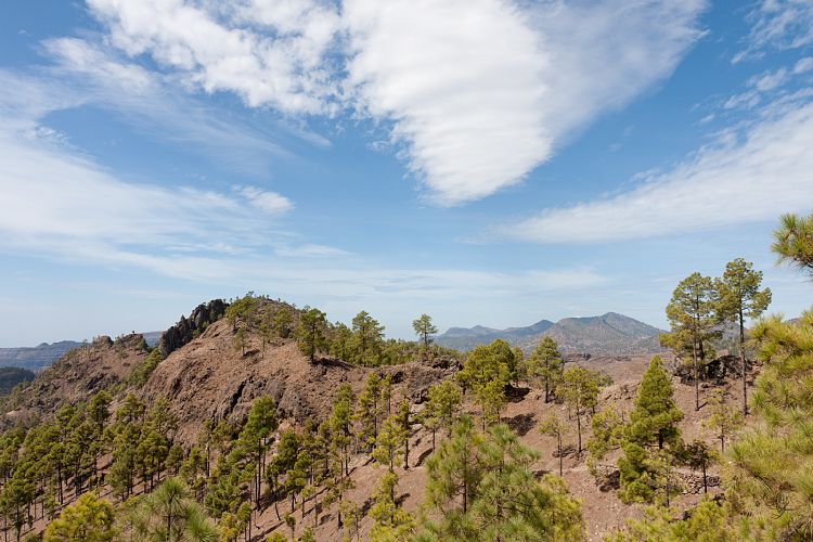 Cruz Grande - La Manzanilla (Gran Canaria - Cruz Grande)