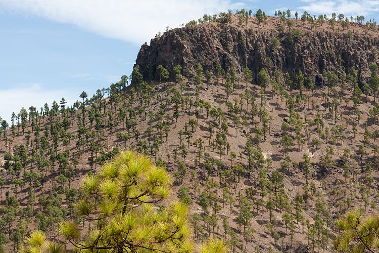 Cruz Grande - La Manzanilla (Gran Canaria - Cruz Grande)
