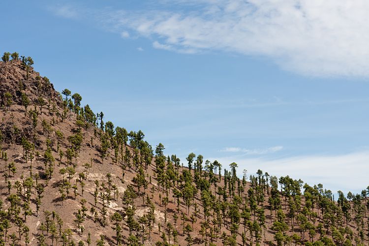Cruz Grande - La Manzanilla (Gran Canaria - Cruz Grande)