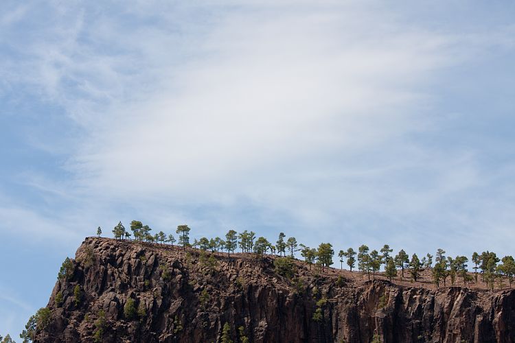 Cruz Grande - La Manzanilla (Gran Canaria - Cruz Grande)