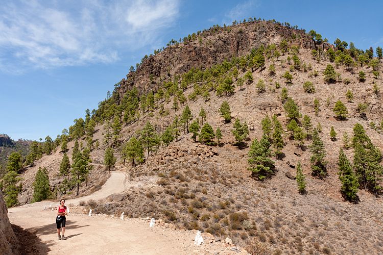 Cruz Grande - La Manzanilla (Gran Canaria - Cruz Grande)
