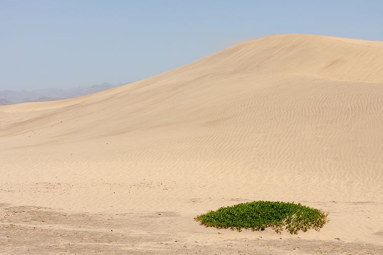 Dne bei Maspalomas (Gran Canaria - Dne)