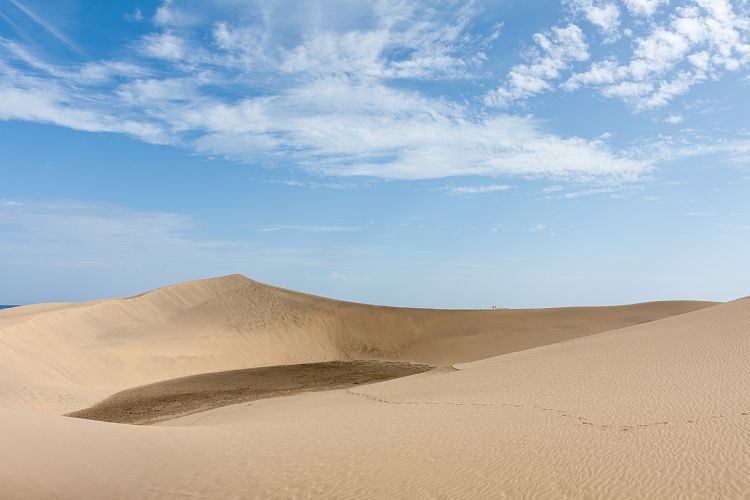 Dne bei Playa Ingls (Gran Canaria - Palmitos Park)