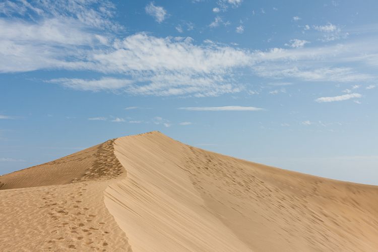 Dne bei Playa Ingls (Gran Canaria - Palmitos Park)