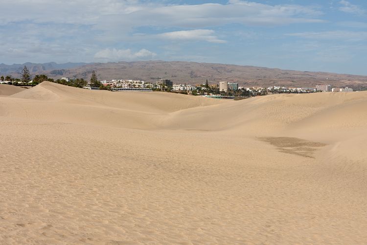 Dne bei Playa Ingls (Gran Canaria - Palmitos Park)