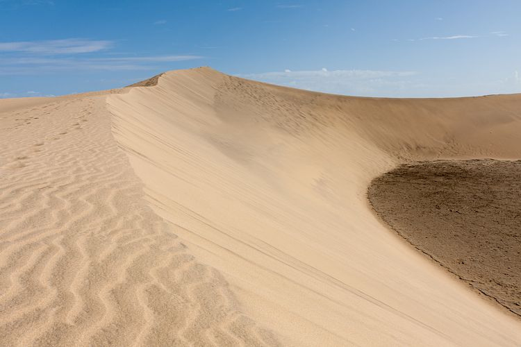 Dne bei Playa Ingls (Gran Canaria - Palmitos Park)