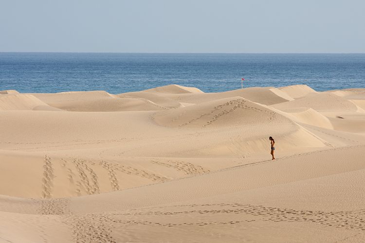 Dne bei Playa Ingls (Gran Canaria - Palmitos Park)