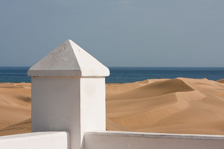 Dne bei Playa Ingls (Gran Canaria - Palmitos Park)