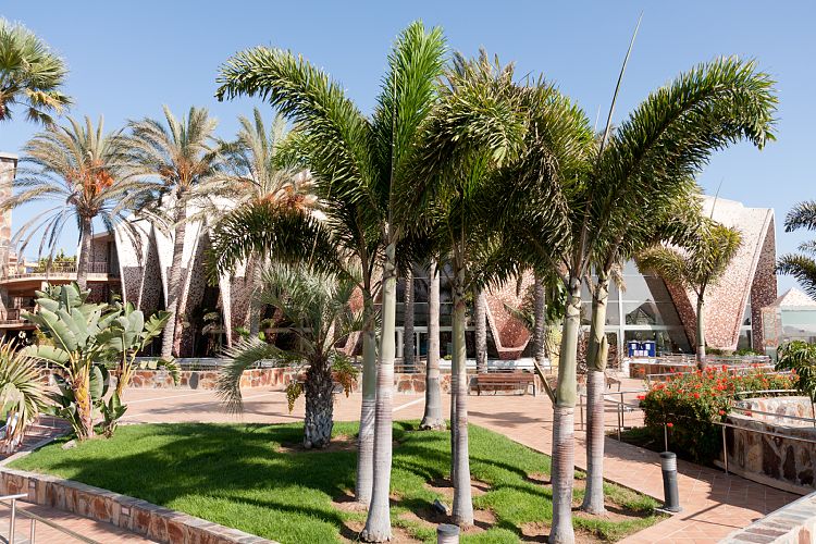 Hotel H10 Playa Meloneras Palace (Gran Canaria - Sdkste)