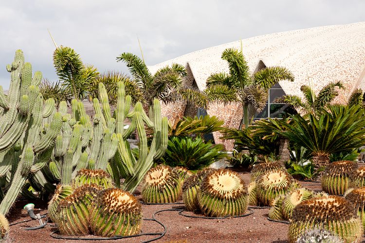 Hotel H10 Playa Meloneras Palace (Gran Canaria - Roque Nublo)