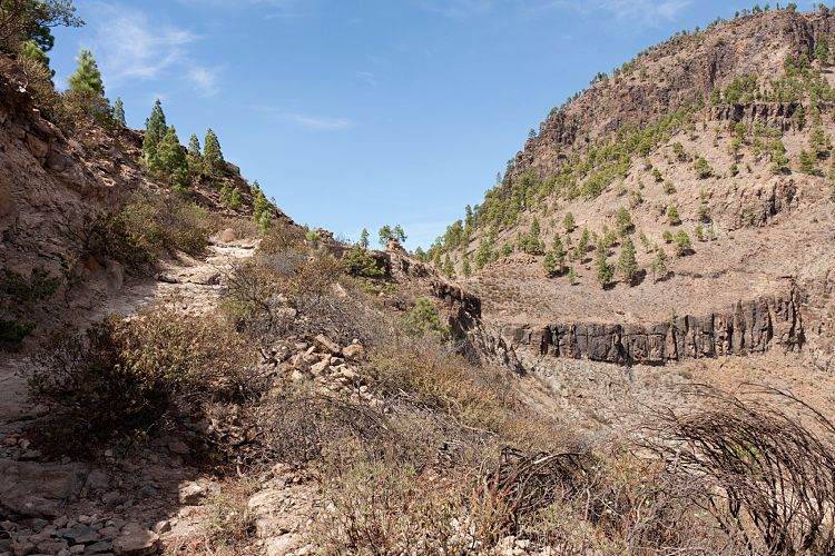 La Manzanilla - San Bartolom (Gran Canaria - Cruz Grande)