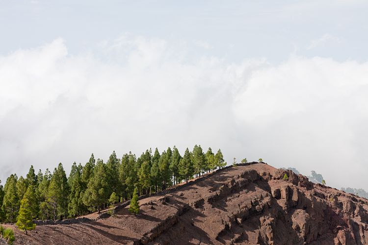 Mirador de los Pinos de G�ldar (Gran Canaria - Roque Nublo)
