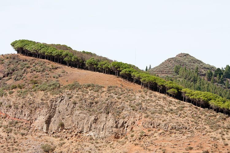 Mirador Degollada de Becerra (Gran Canaria - Roque Nublo)