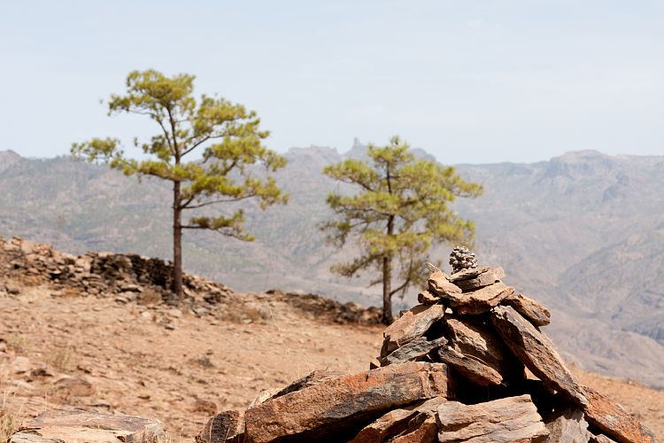 Montaa de Tauro (Gran Canaria - Montaa de Tauro)