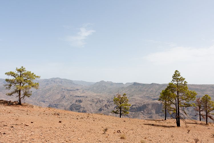 Montaa de Tauro (Gran Canaria - Montaa de Tauro)